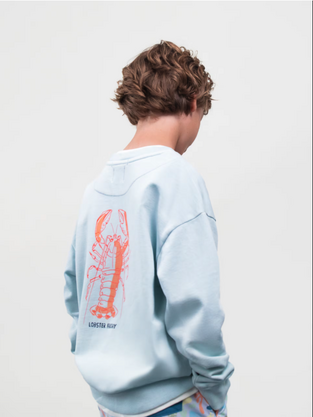 Mayoral φούτερ γαλάζιο με στάμπα